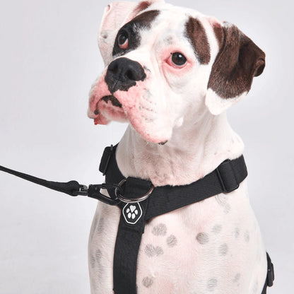 Comfort Control No-Pull Harness Sets