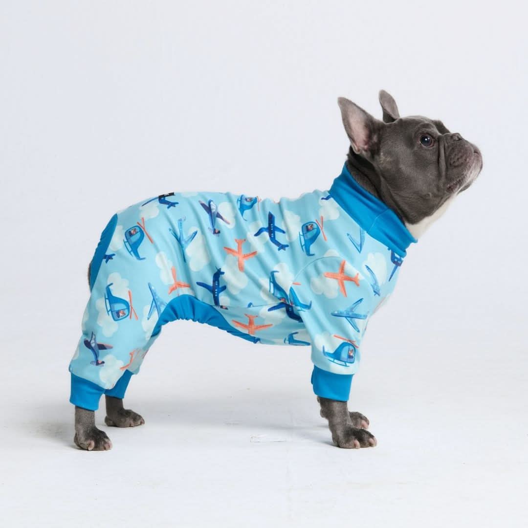 Dog Pajama Prints