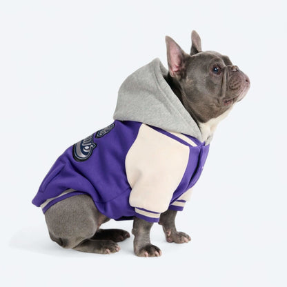 Dog Varsity Jackets