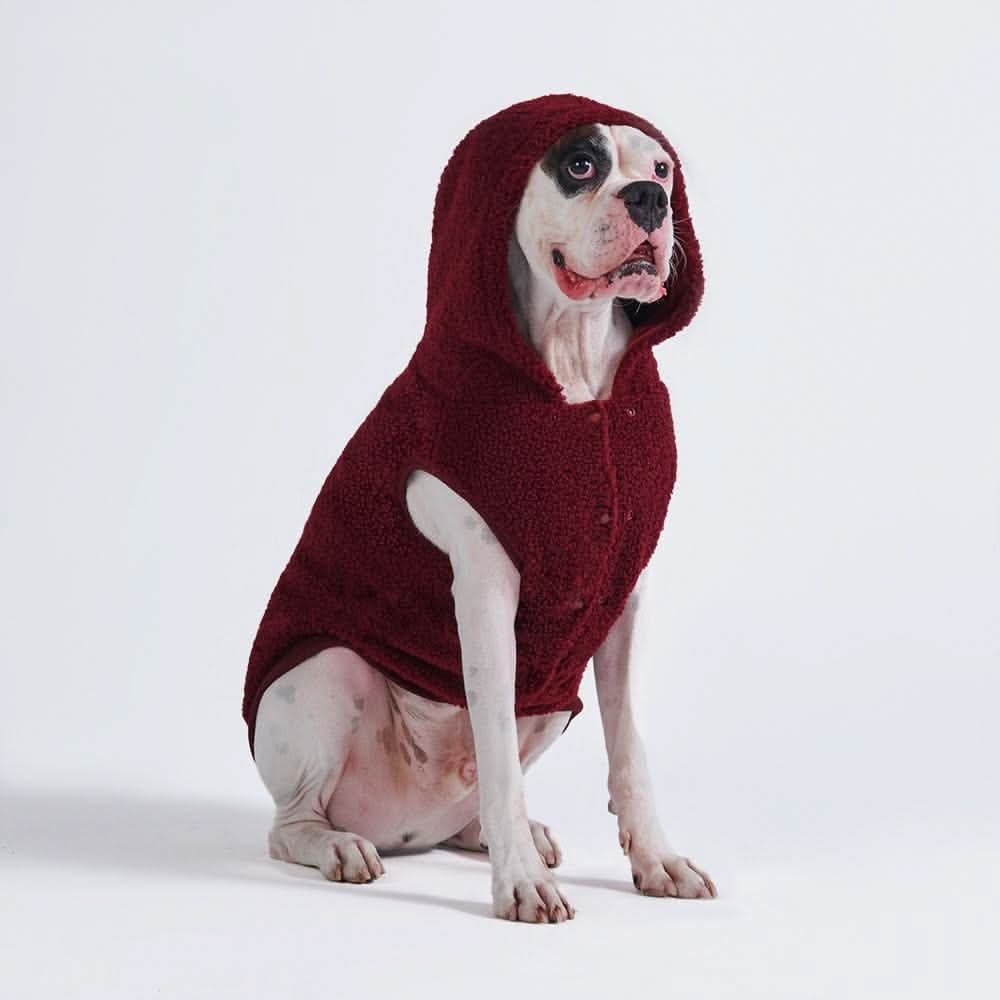 Teddy Sherpa Dog Jacket - Maroon