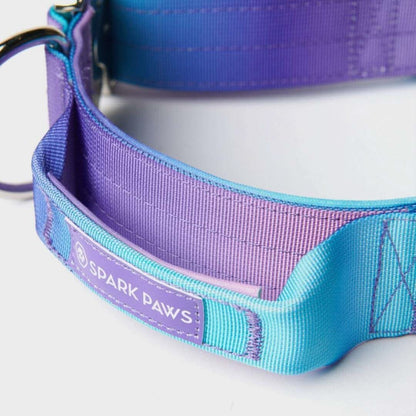 Comfort Control Dog Collars