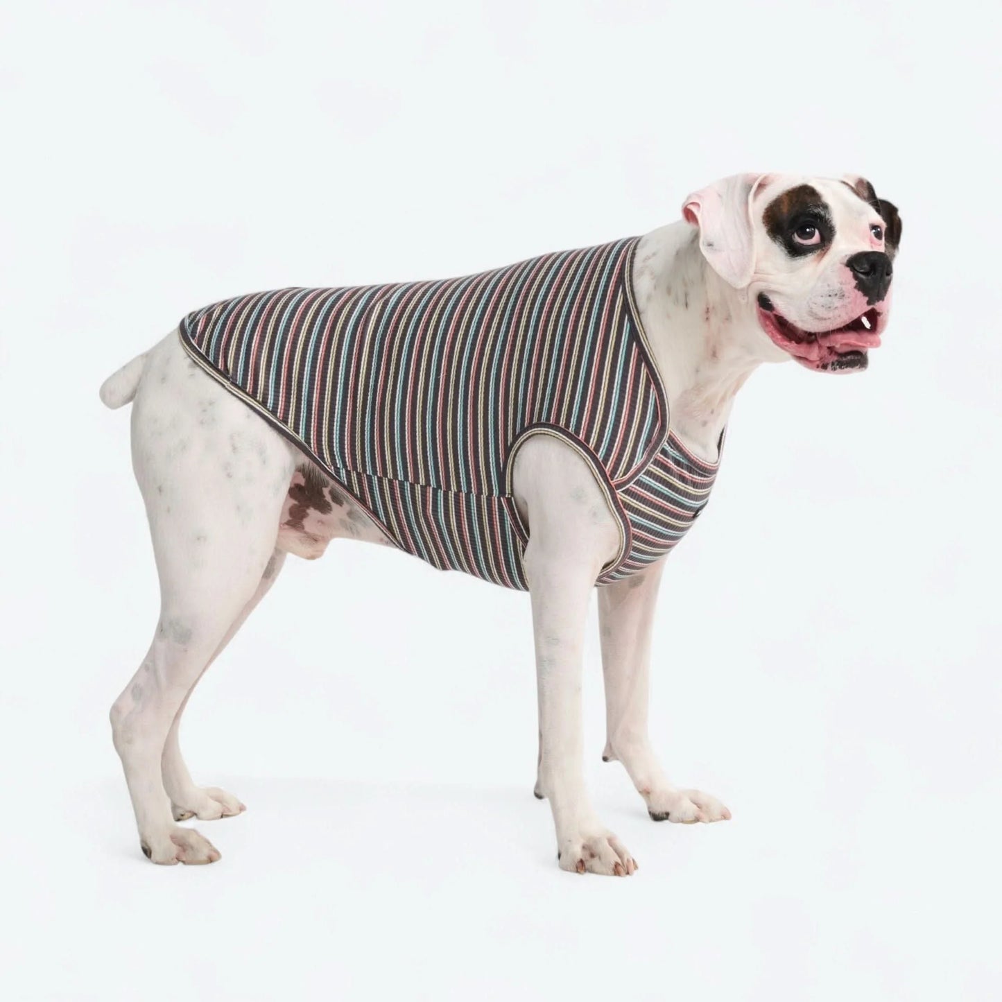Stripe Shirt - Black Coral