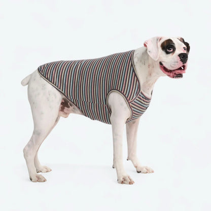 Stripe Shirt - Black Coral