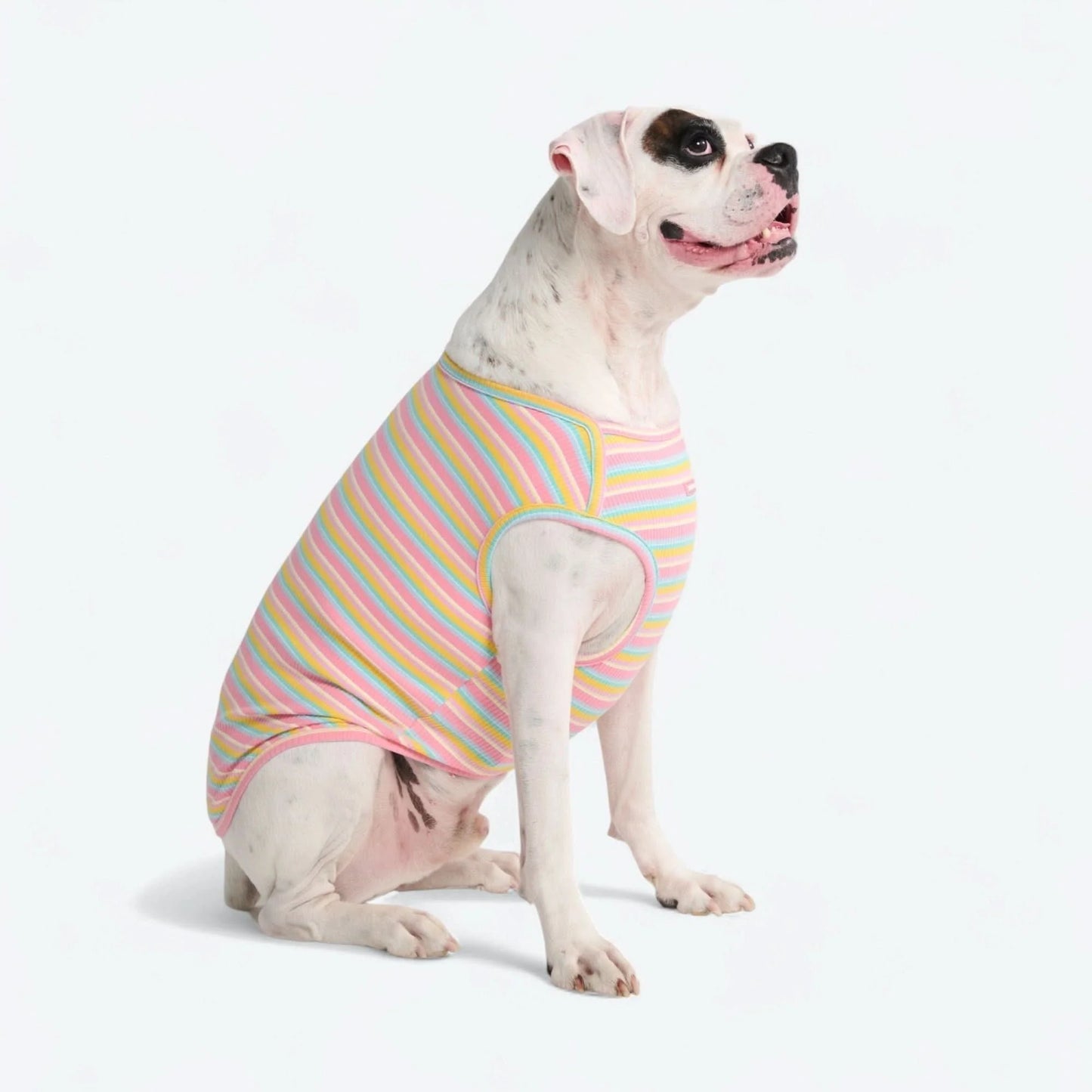 Stripe Shirt - Pink Yellow