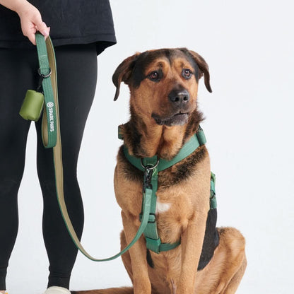 Comfort Control No-Pull Harness Sets