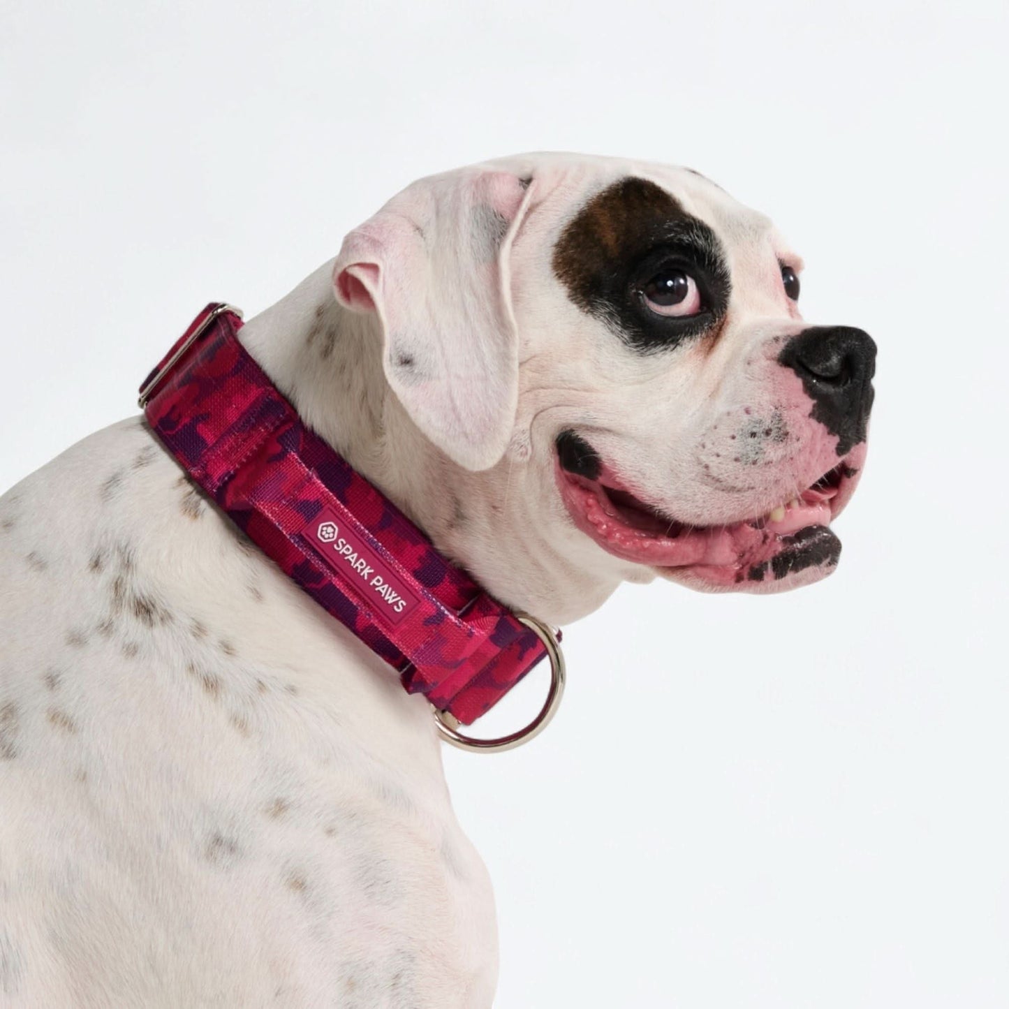 Comfort Control Dog Collars