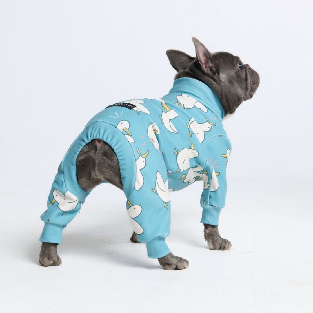 Dog Pajama Prints