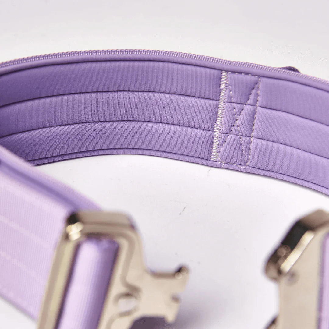 Comfort Control Dog Collars