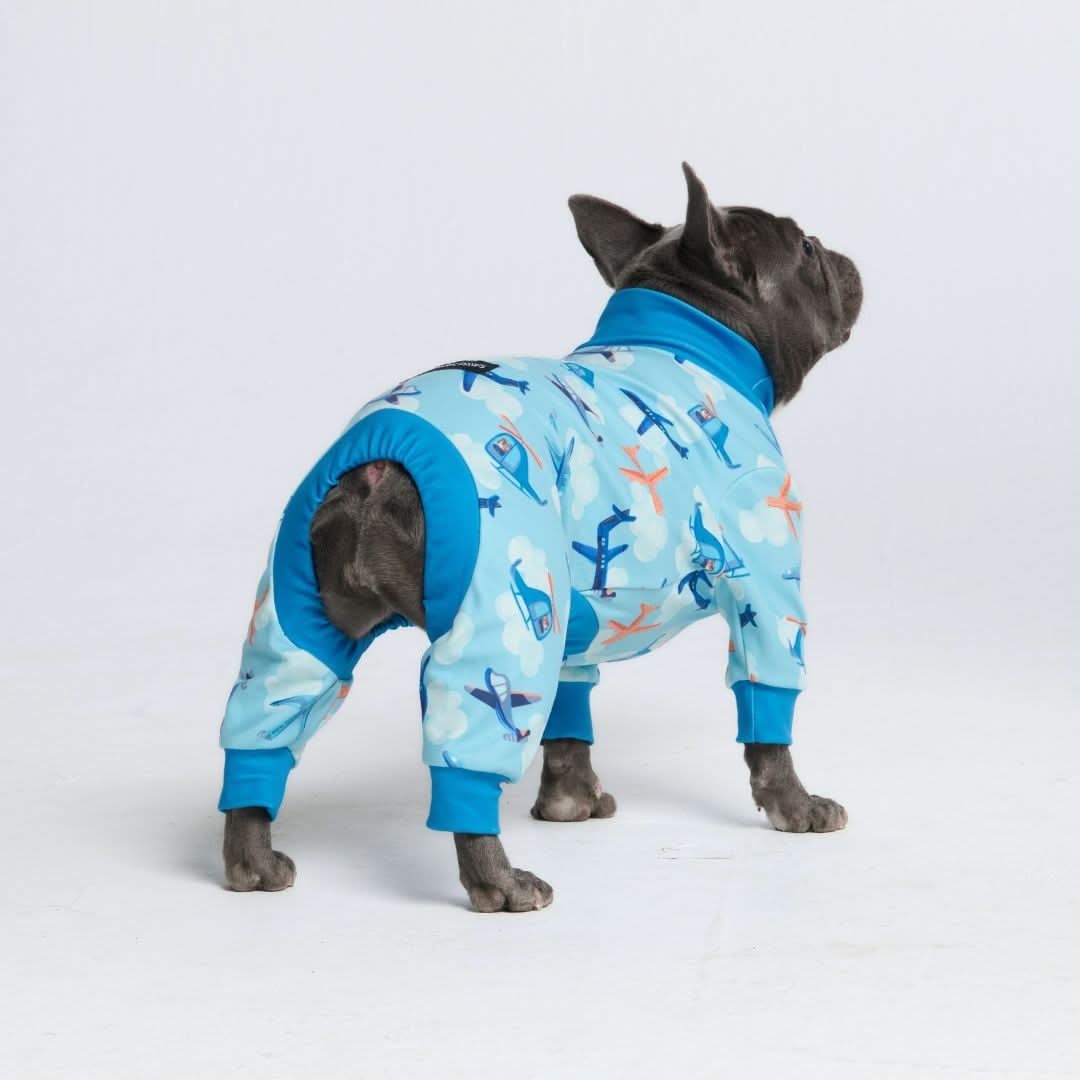 Dog Pajama Prints
