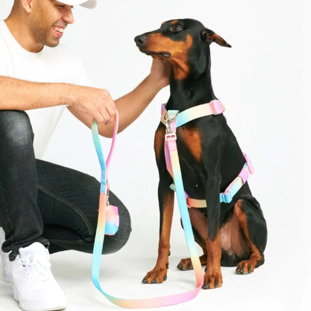 Comfort Control No-Pull Harness Sets