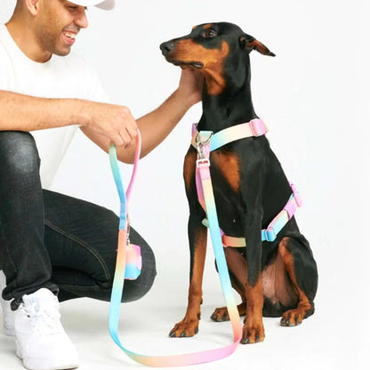 Comfort Control No-Pull Harness Sets