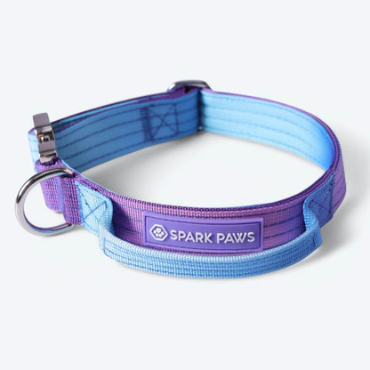 Comfort Control Dog Collars