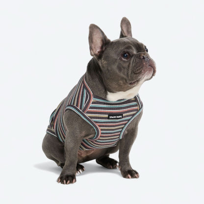 Stripe Shirt - Black Coral