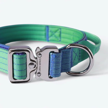 Comfort Control Dog Collars