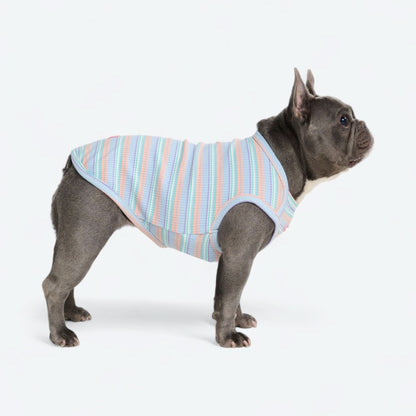 Stripe Shirt - Blue Coral