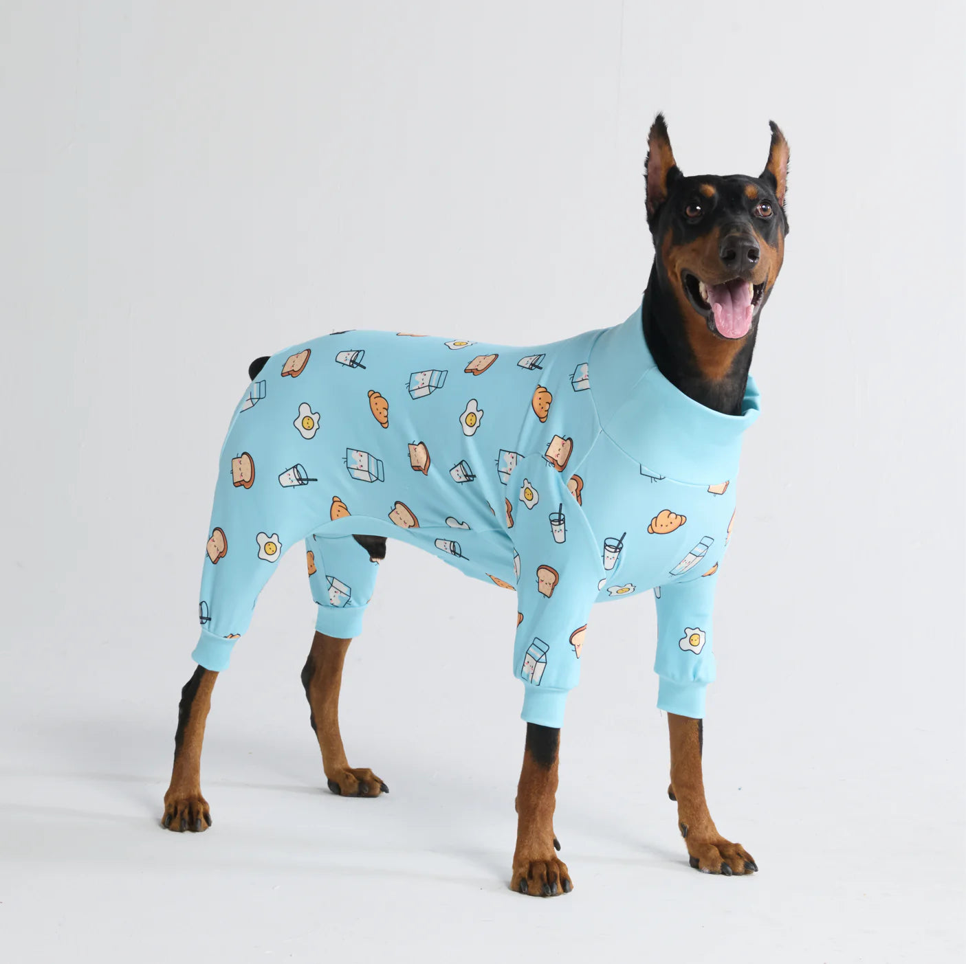 Dog Pajama Prints
