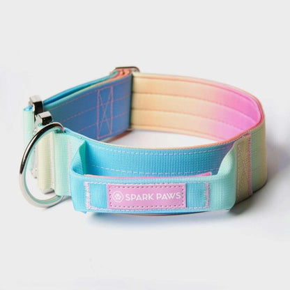 Comfort Control Dog Collars