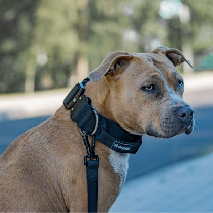 Comfort Control Dog Collars