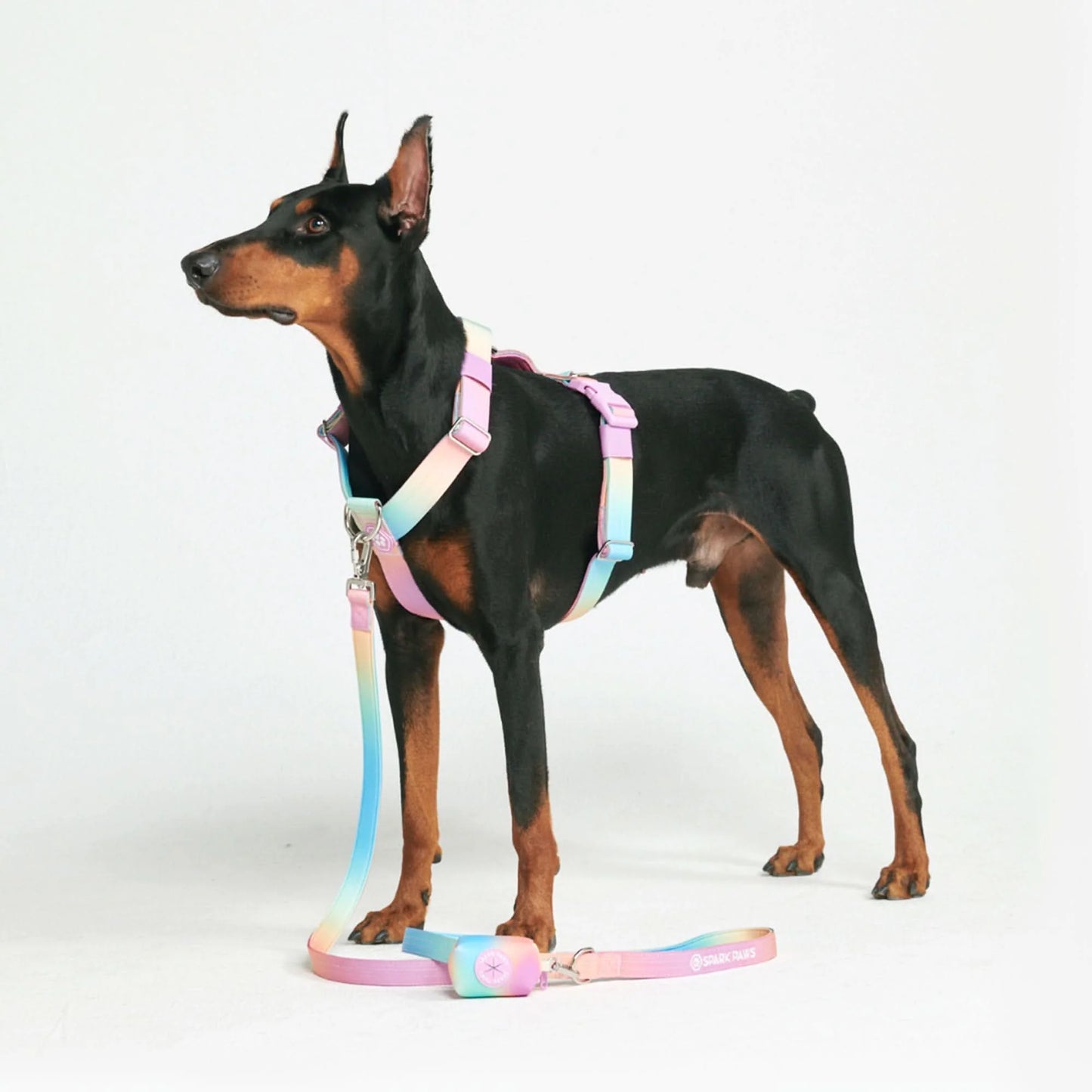 Comfort Control No-Pull Harness Sets