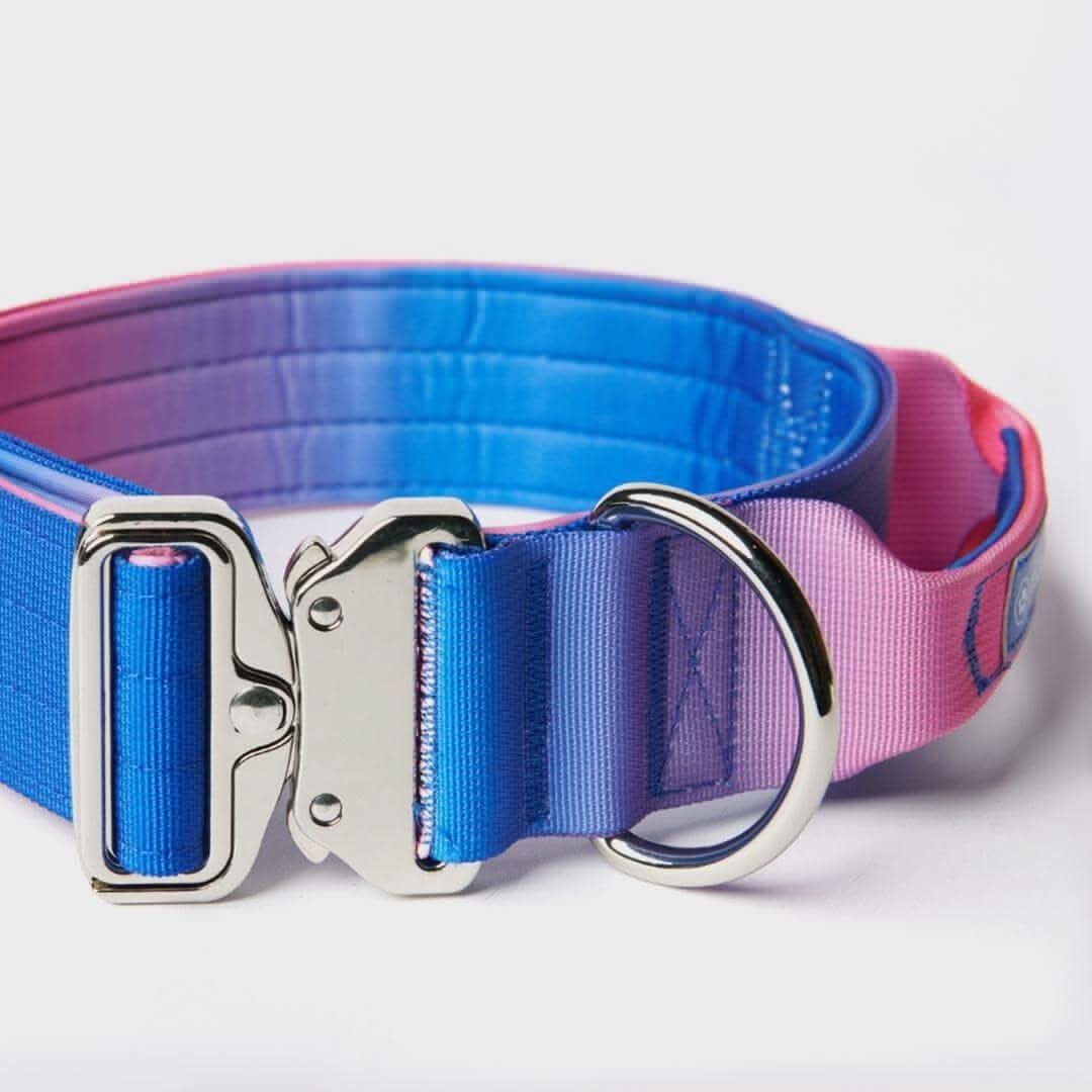 Comfort Control Dog Collars
