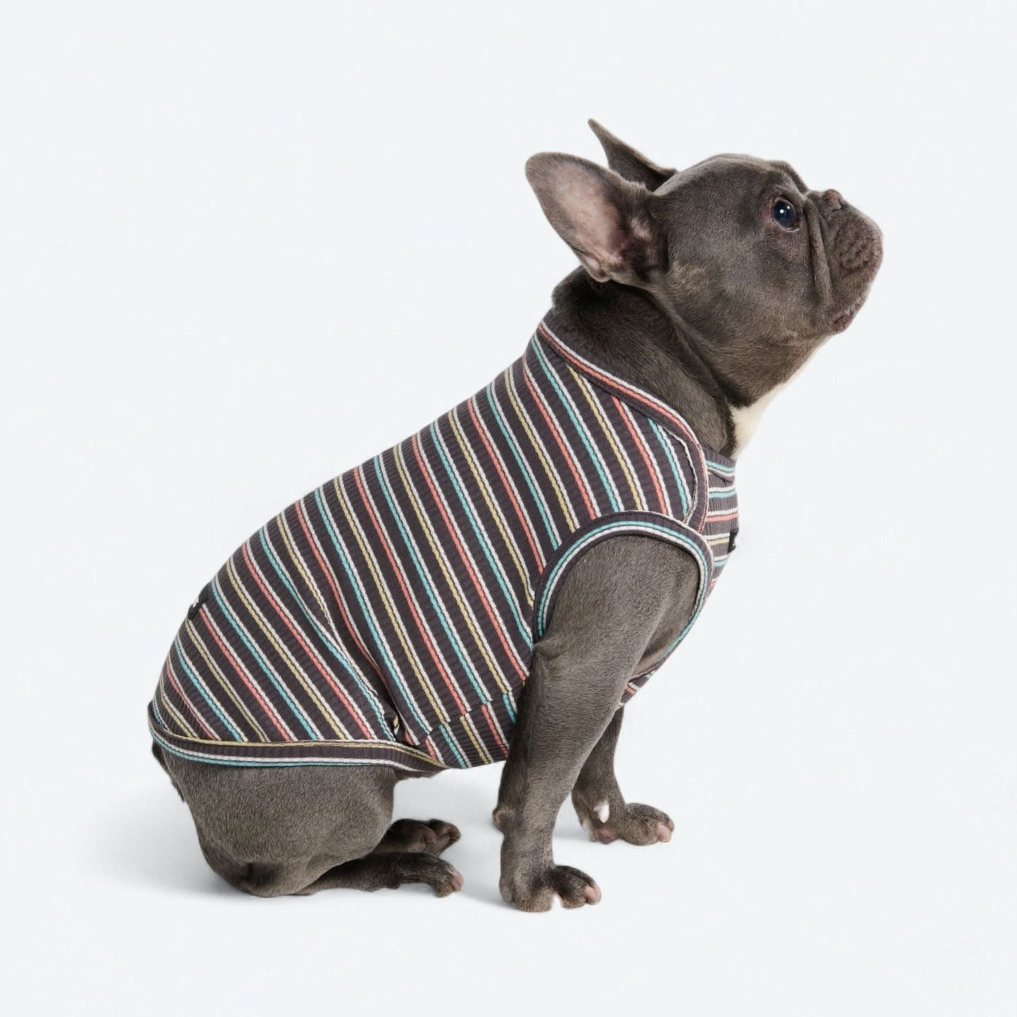 Stripe Shirt
