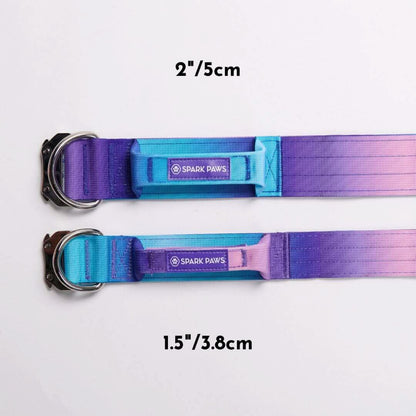 Comfort Control Dog Collars