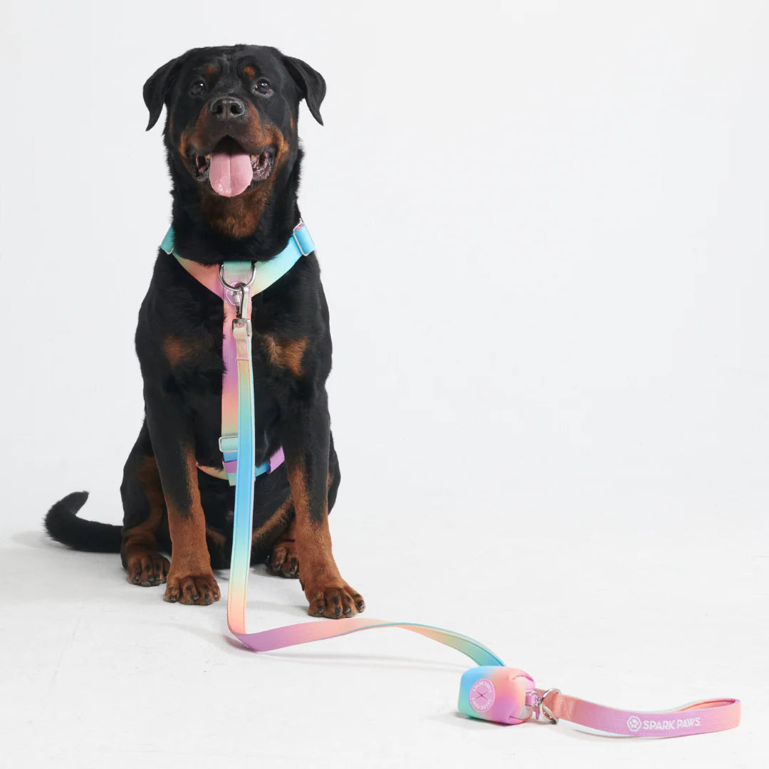 Comfort Control No-Pull Harness Sets