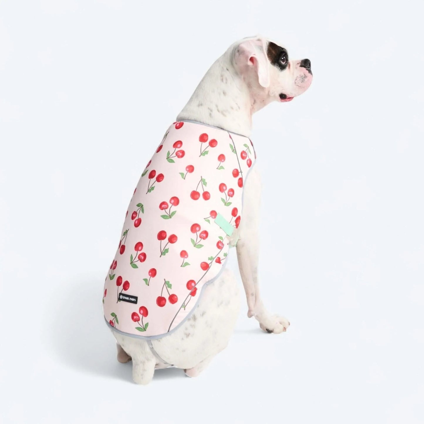 Chilltech™ Dog Cooling Vests