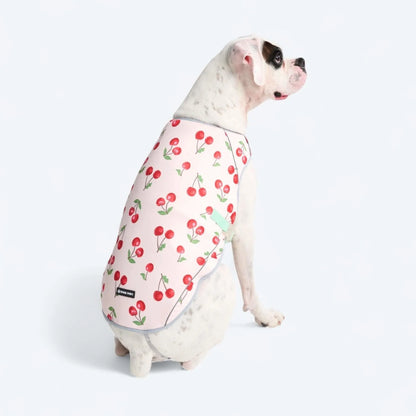 Chilltech™ Dog Cooling Vests