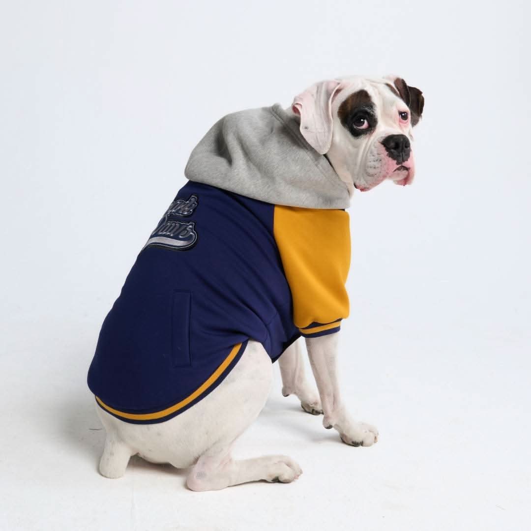 Dog Varsity Jacket - Blue Yellow