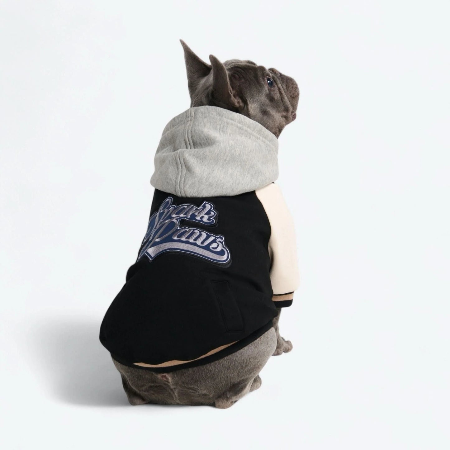 Dog Varsity Jacket - Black