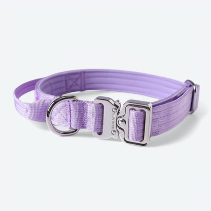 Comfort Control Collar Set - Lilac