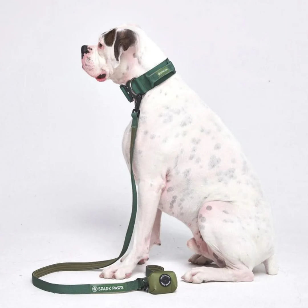 Leash and Poop Bag Holder Set