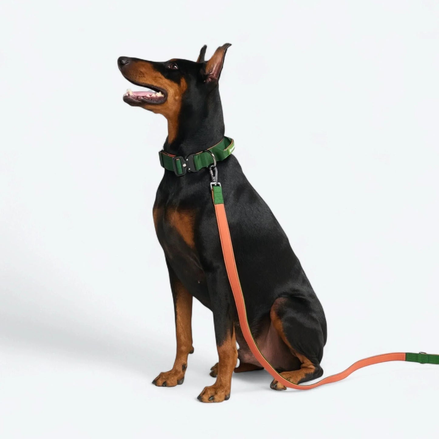 Comfort Control Dog Collars