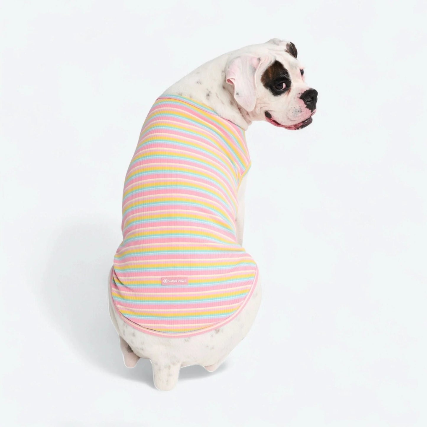 Stripe Shirt