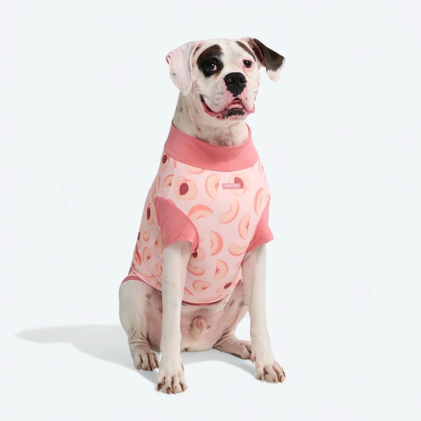 Sunblock Dog T-Shirt - Fruit Print