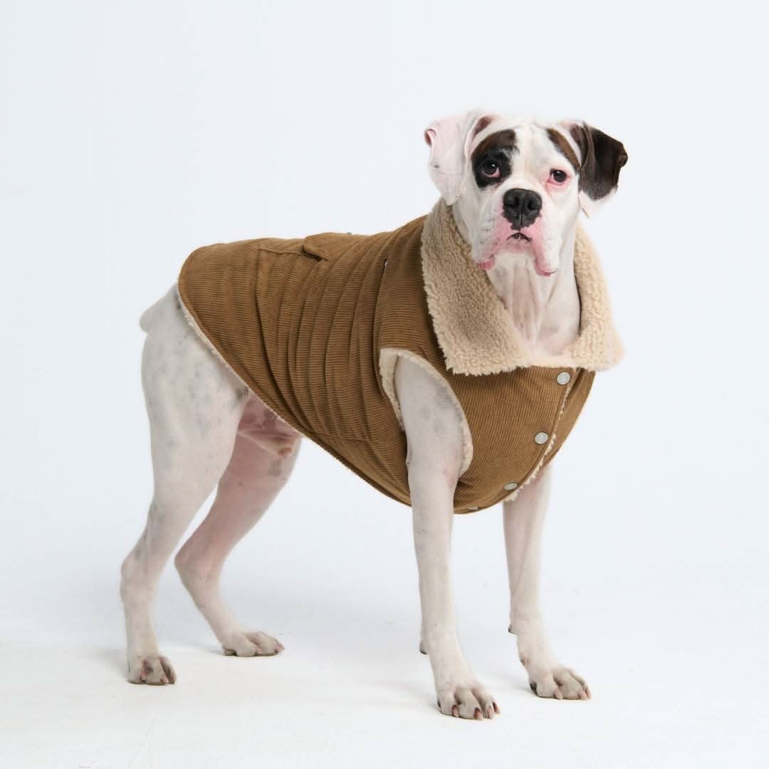 Corduroy Insulated Jackets