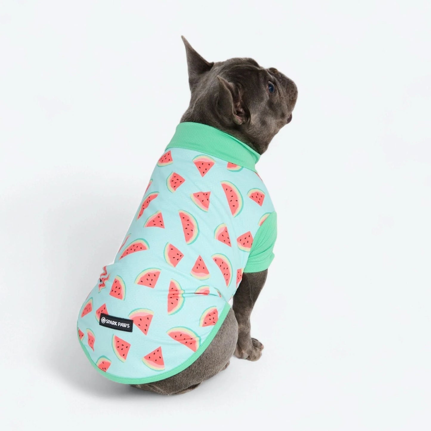 Sunblock Shirt - Watermelon