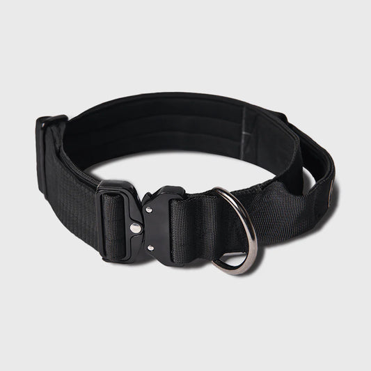 Comfort Control Dog Collars
