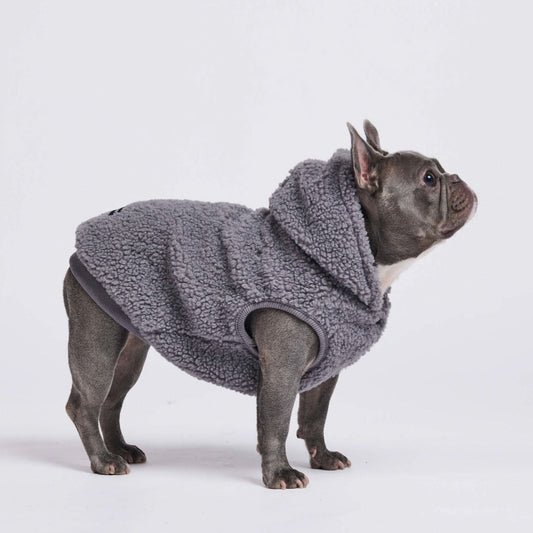 Teddy Sherpa Dog Jackets