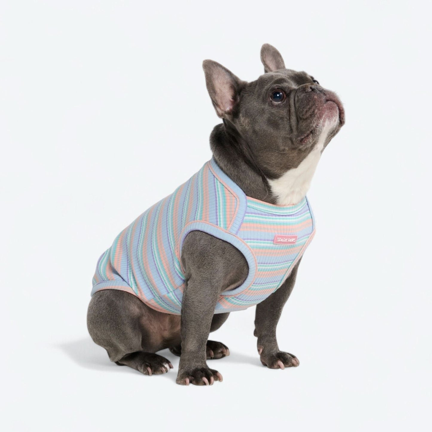 Stripe Shirt - Blue Coral