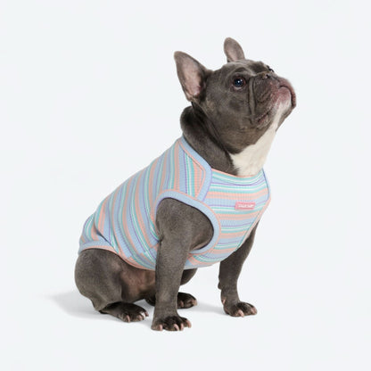 Stripe Shirt - Blue Coral