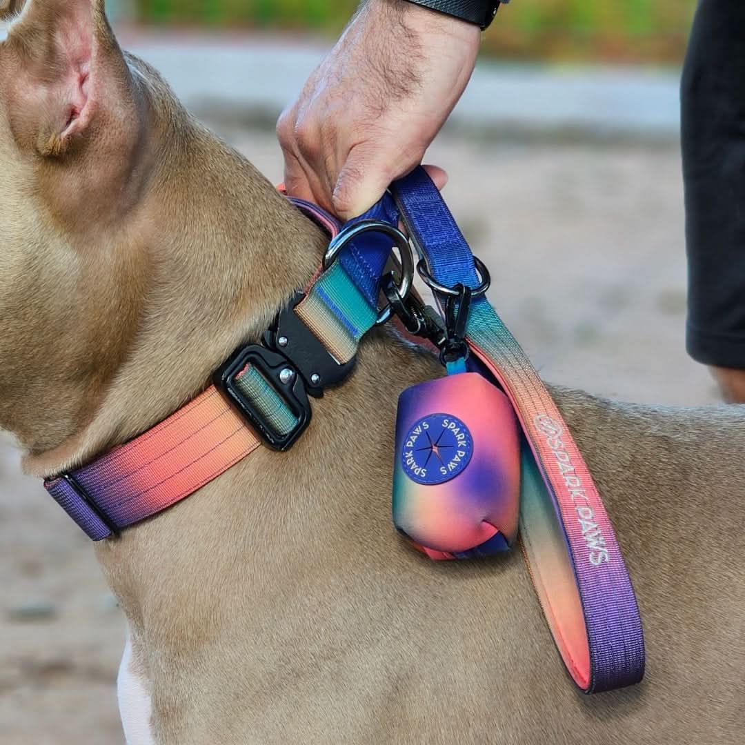 Leash and Poop Bag Holder Set