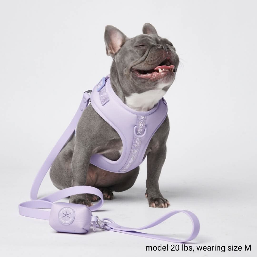Ultra-Soft Activewear Harness Set (Multi)