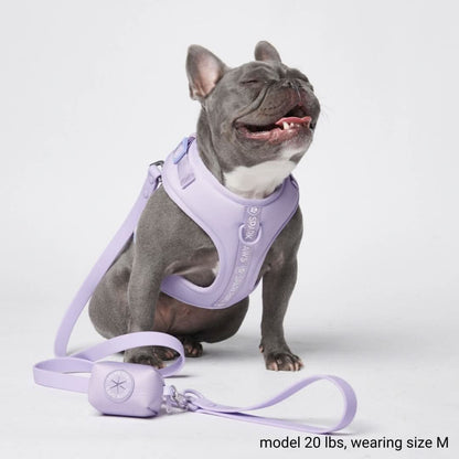 Ultra-Soft Activewear Harness Set (Multi)