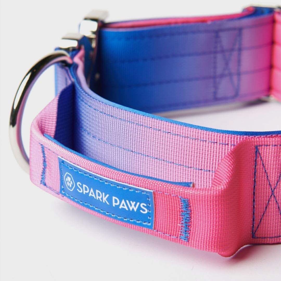 Comfort Control Dog Collars