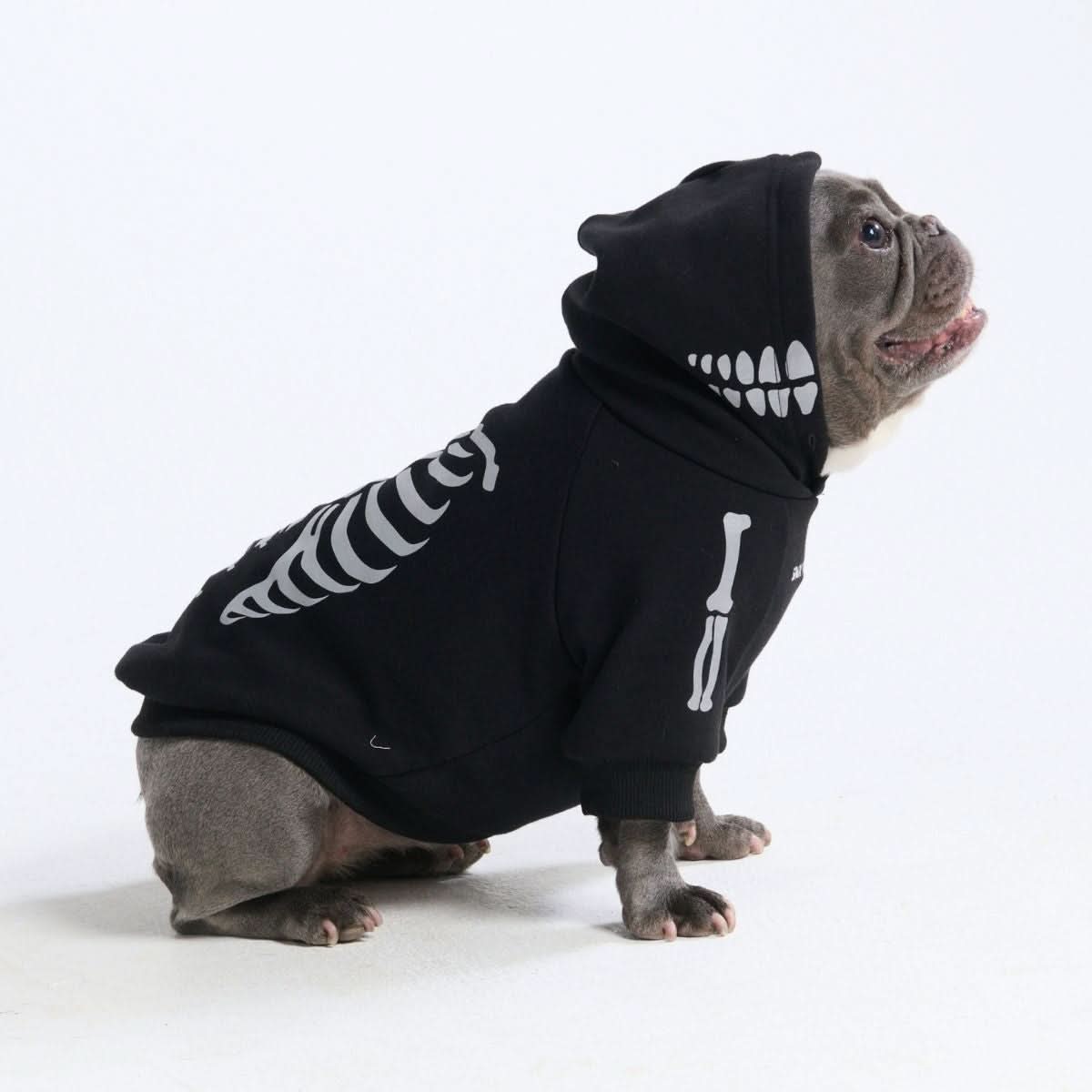 Halloween Dog Hoodies (Limited Edition)