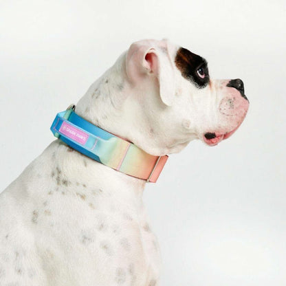 Comfort Control Dog Collars