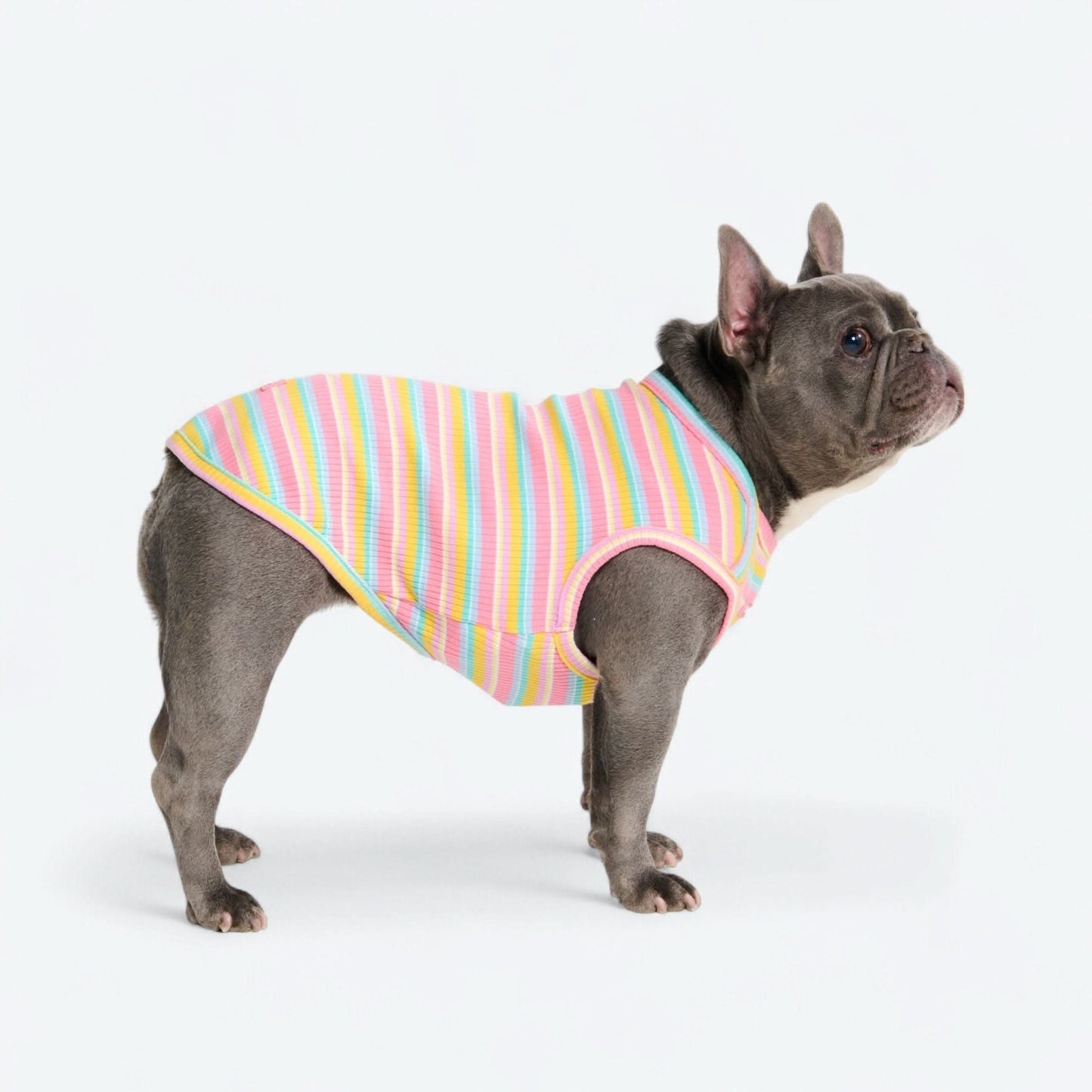 Stripe Shirt