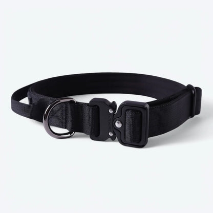Comfort Control Collar - Black